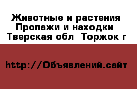 Животные и растения Пропажи и находки. Тверская обл.,Торжок г.